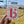 Double B Logo Sticker