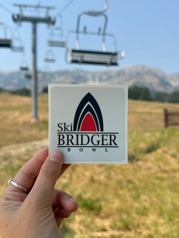 Classic Ski Tips Logo Sticker