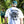 Shred Bridger Tee