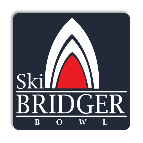 Classic Ski Tips Logo Sticker