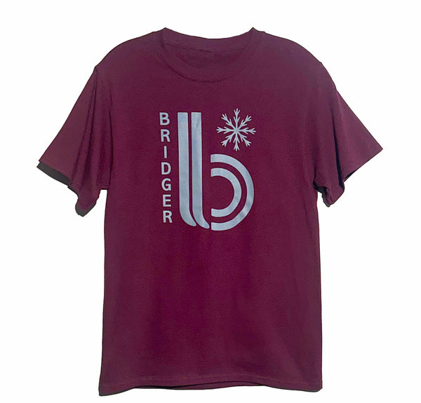 double B Tee in Maroon